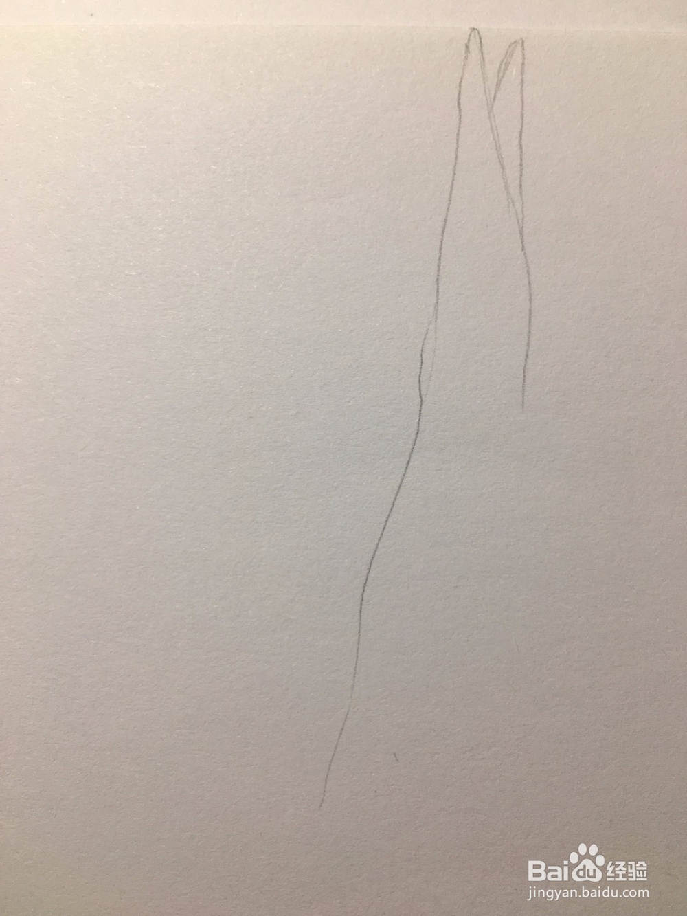 画公鸡头 鸡冠头简笔画 鸡头线描画