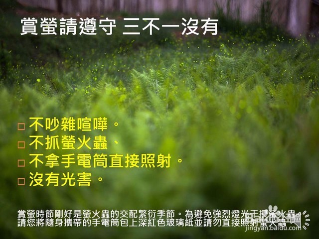 萤火虫拍摄技巧