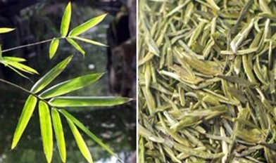 竹叶青茶的泡法