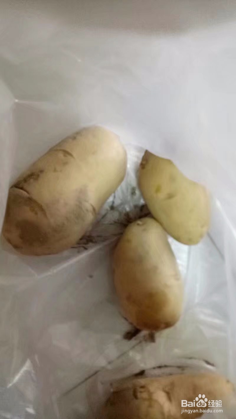 即营养丰富又便宜平凡的土豆丝鸡蛋饼