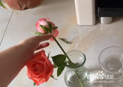 鲜花蔫了怎么快速急救