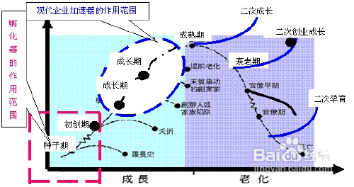 创新管理体系步骤