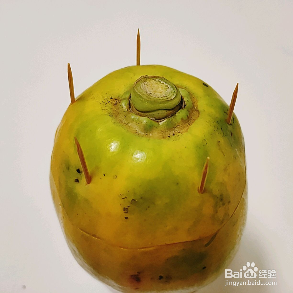 木瓜椰奶冻的做法