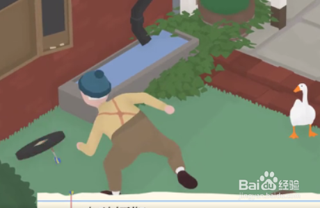 捣蛋鹅之如何做一只人人喊打的鹅四