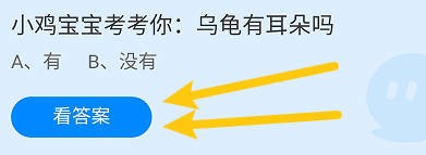 乌龟有耳朵吗
