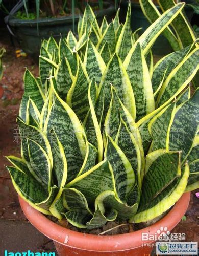 装修后如何除甲醛,装修除甲醛最好方法