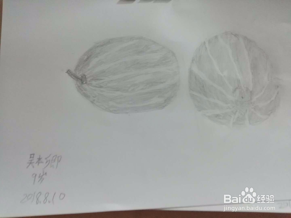 素描静物蔬菜水果——西瓜怎么画