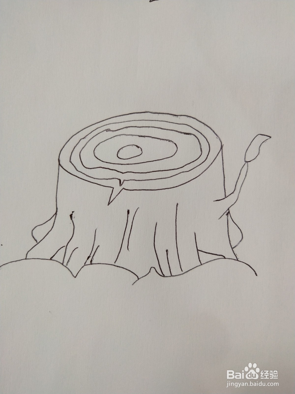 教你画一个寓意新生的树桩