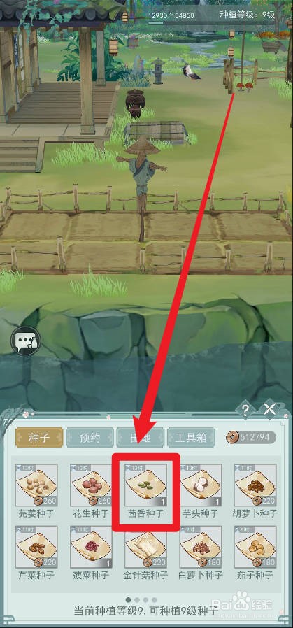 江湖悠悠怎么种植茴香