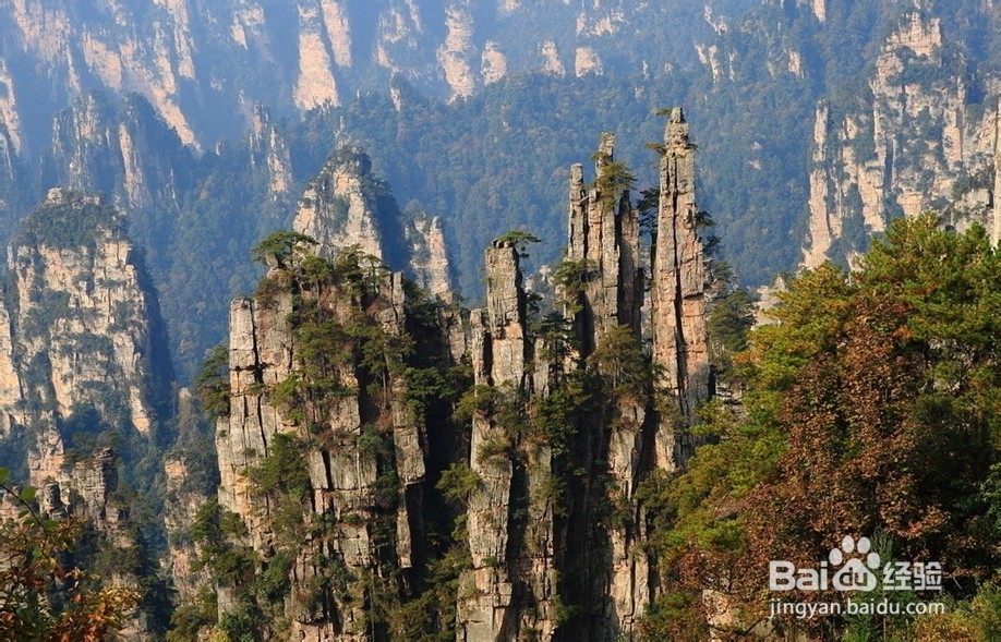 广州到张家界自由行攻略