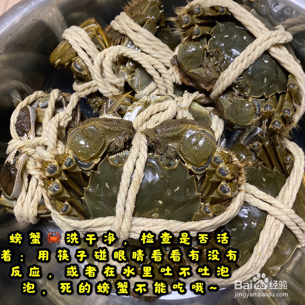 不费事做清蒸大闸蟹