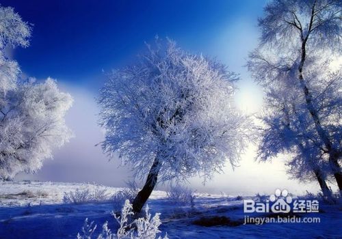 【圣诞】圣诞进行时