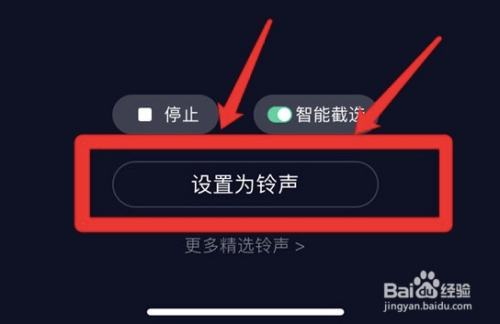 苹果13怎么设置来电铃声歌曲