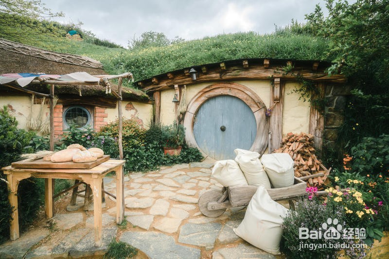 新西兰漫游简记4