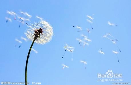 成功者具备哪些特质