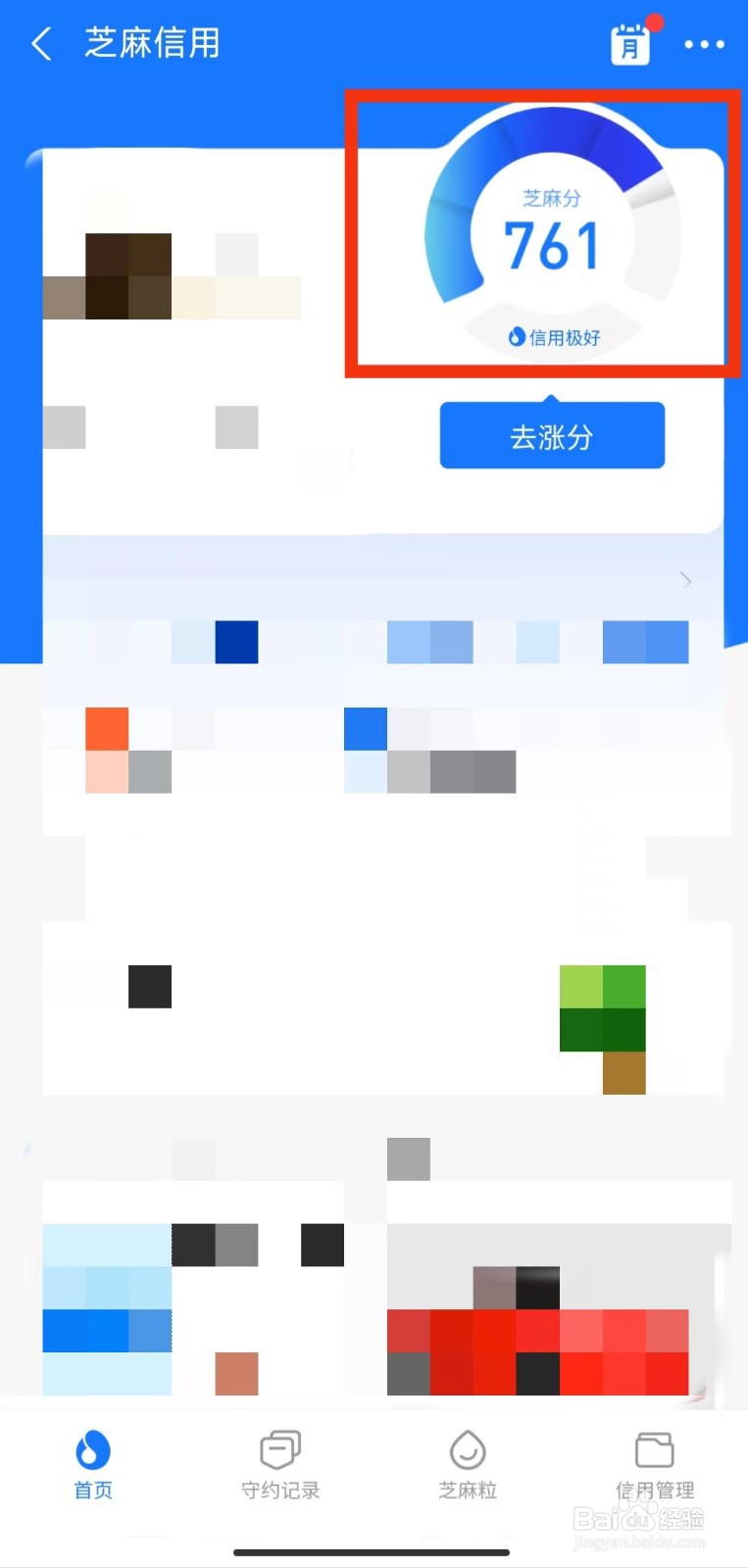 如何查看芝麻信用分