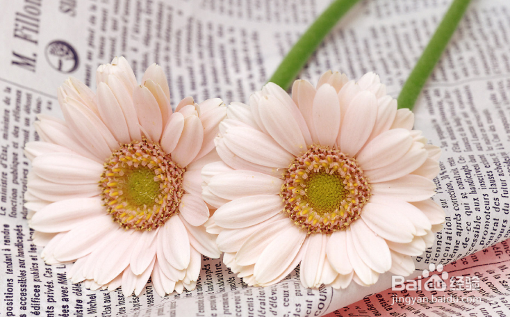 长辈亲戚住院怎么问候