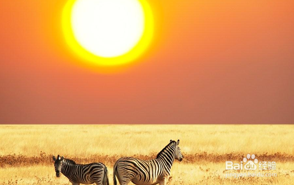 面部表情对声乐演唱的影响