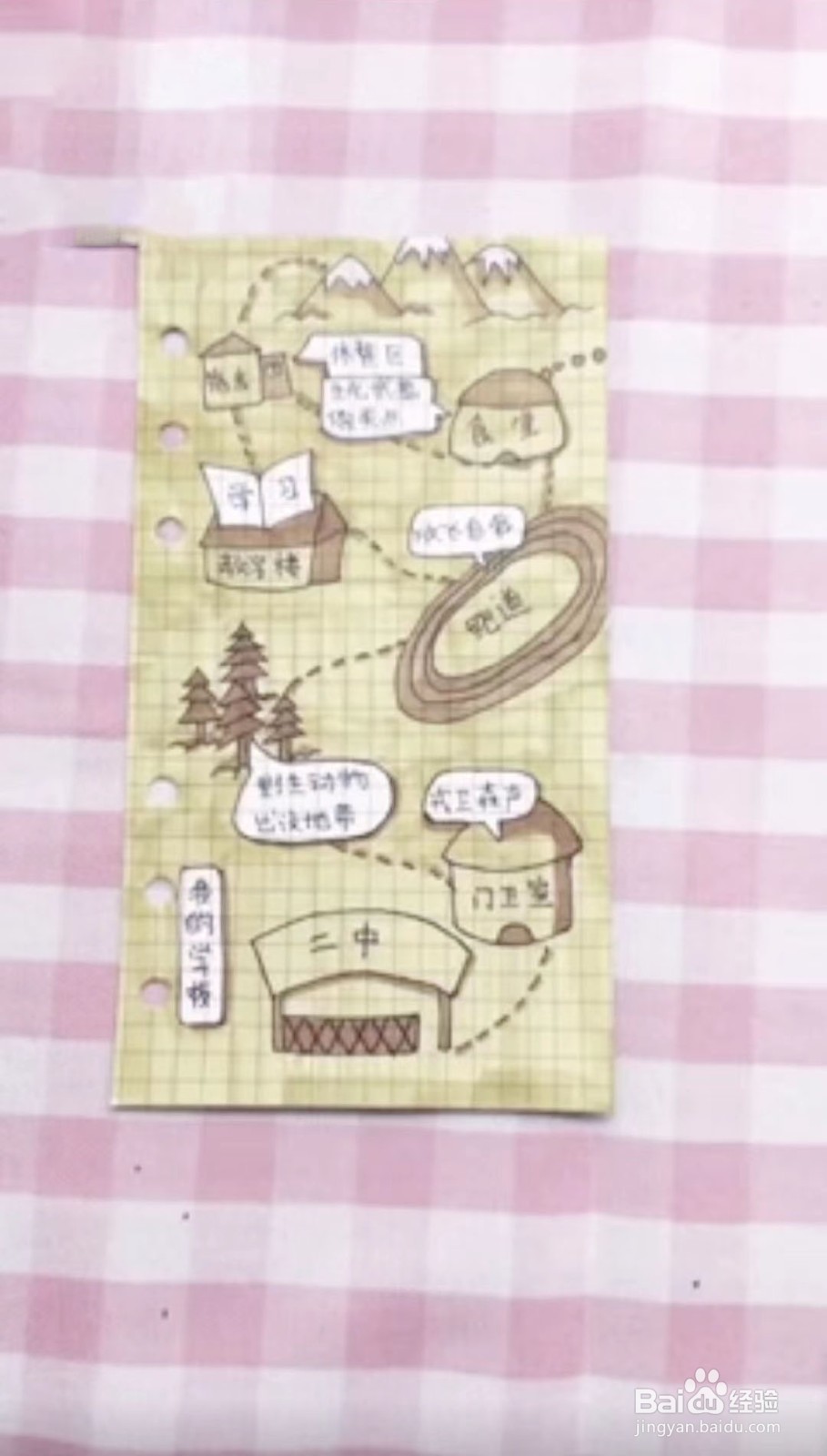 校园生物分布图怎么画