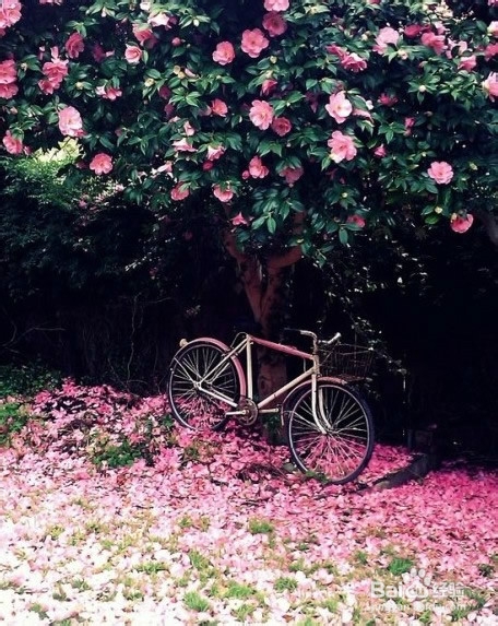 如何防止晕车，晕车小妙招