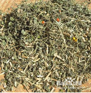 中草药生虫如何防止