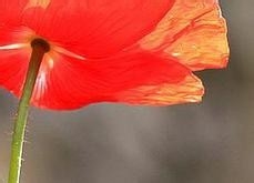 健康生活小知识10