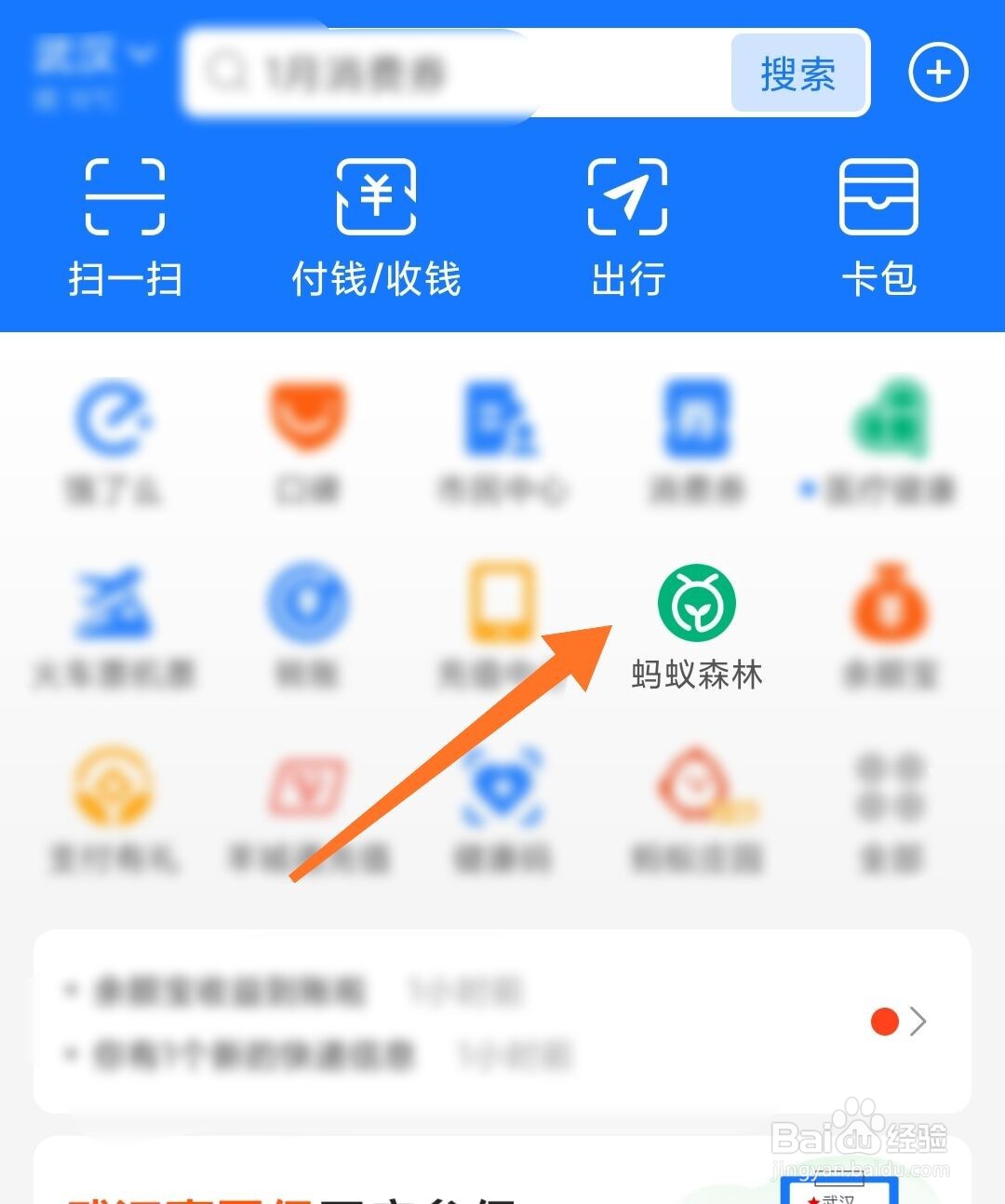 蚂蚁森林怎么种树