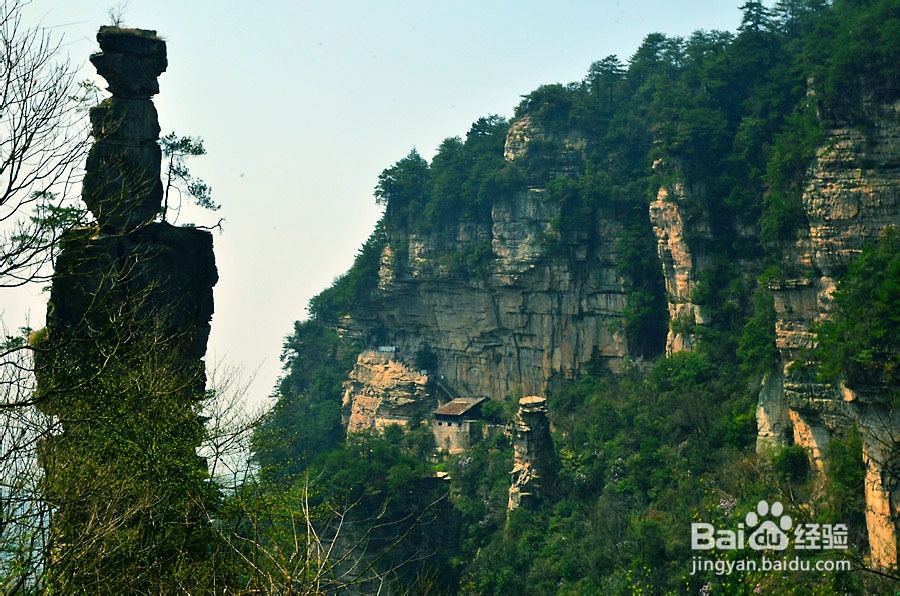 北京到张家界旅游