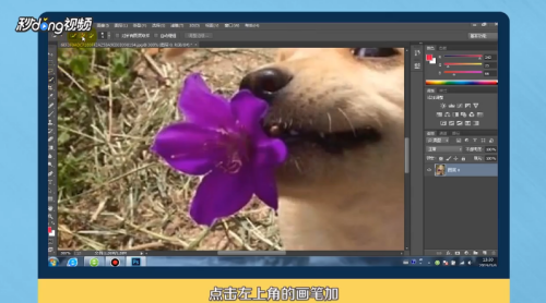 如何使用PS抠图