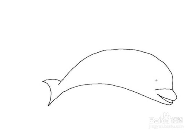 画海豚的儿童卡通简笔画教程