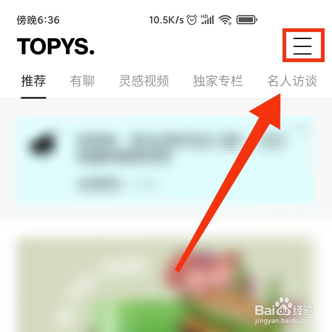 TOPYS软件在哪开启主题站