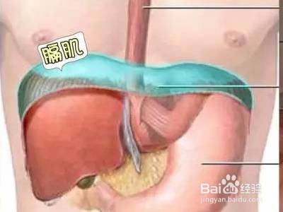 突然一直打嗝不止怎么办？打嗝怎么快速解决？