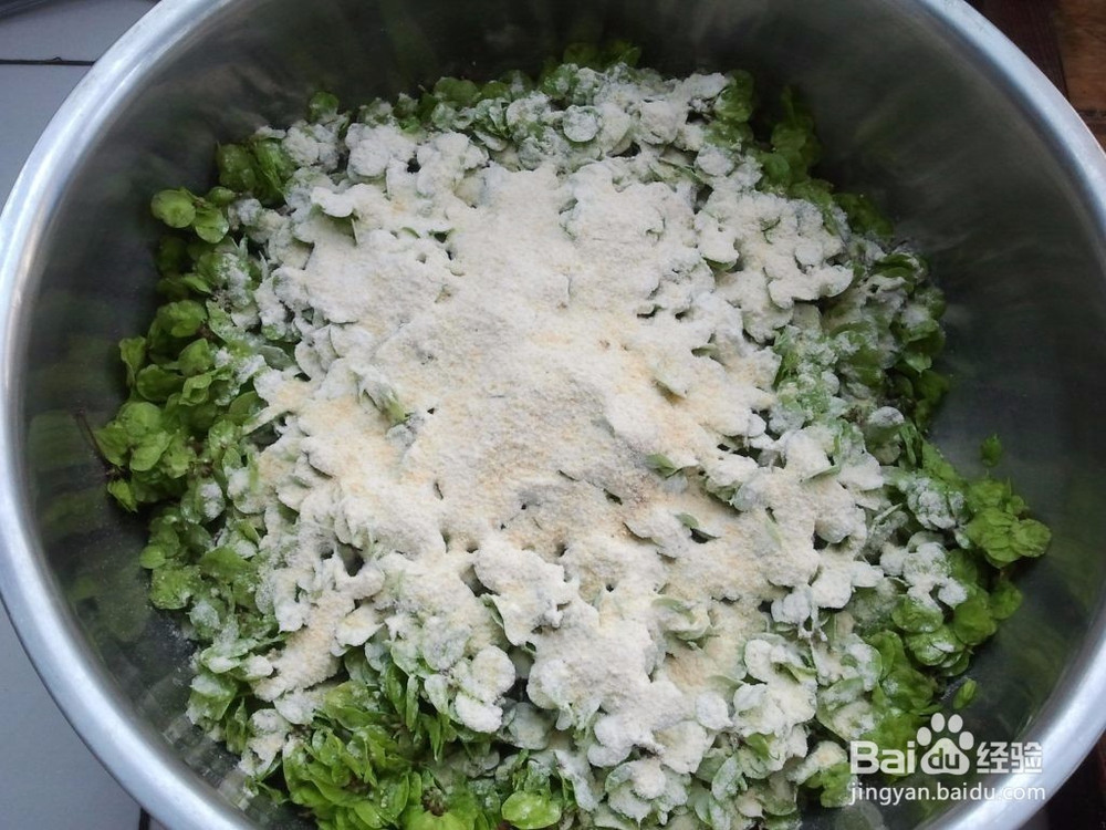 在农村你会做蒸榆钱吗，看图学做一定很好吃