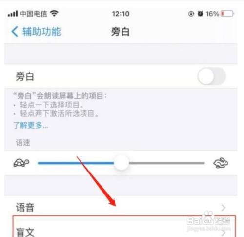 iPhone手机如何设置盲文单元格为右侧