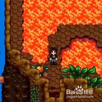 星露谷物语中金核桃如何获取