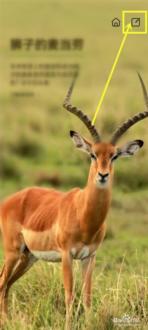 华为杂志壁纸怎么保存