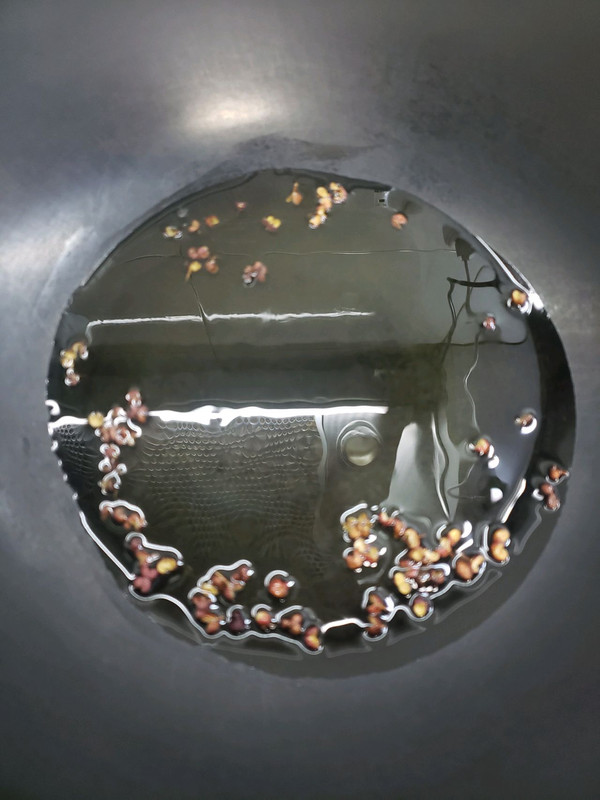 清香爽脆凉拌茼蒿