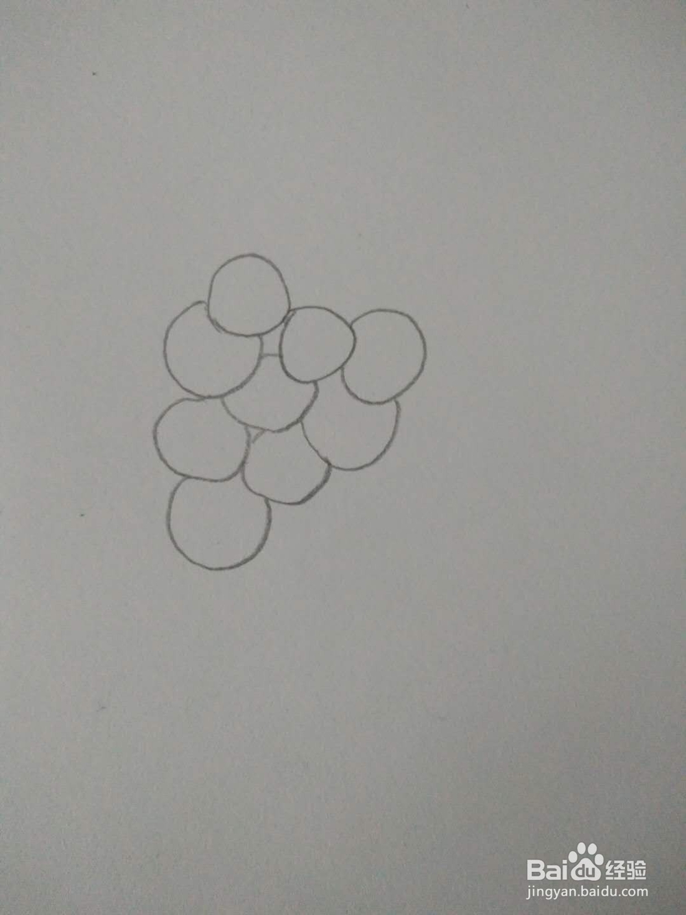 如何画葡萄的简笔画