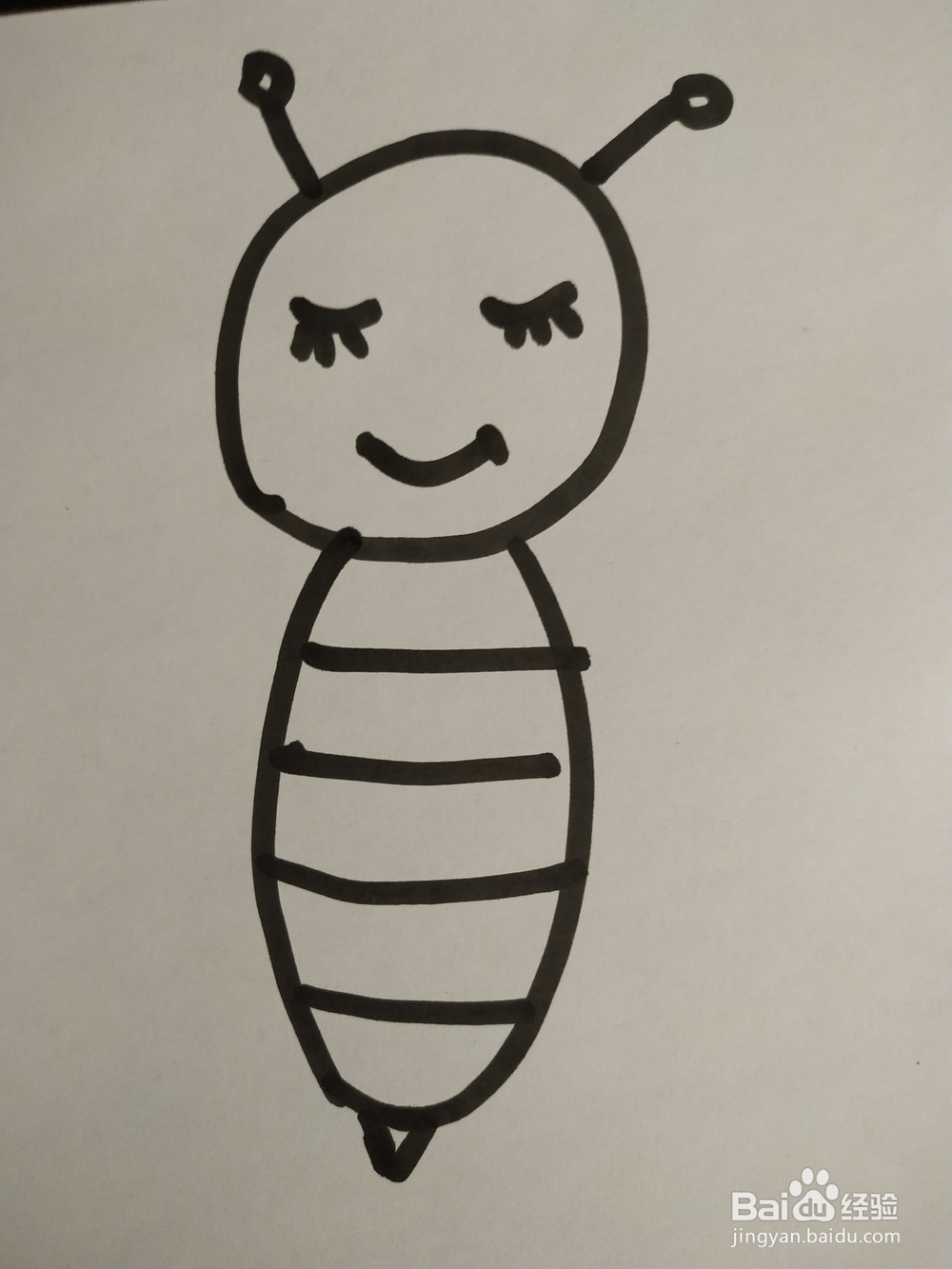 蜜蜂的简笔画技法2