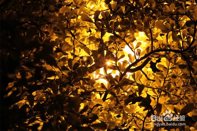 深圳塘朗山登山经验