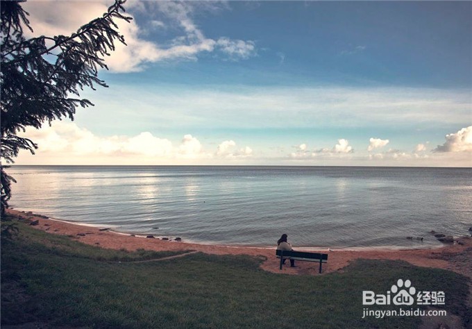 扪心自问自己真的学会孤独生活了吗？