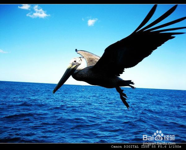 大学生活如何寻找在路上的感觉