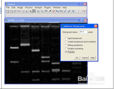 Image J软件进行图片条带灰度值分析