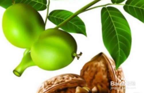 核桃皮怎么好剥