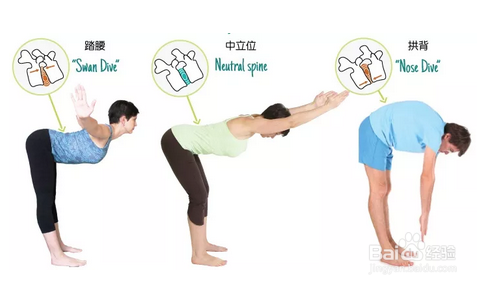 一张站立前屈图引发的思考