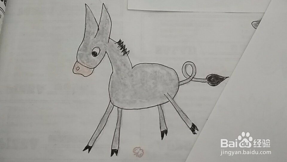 多妈简笔画动物一只小毛驴