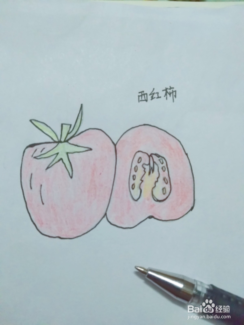 <b>西红柿的简笔画一看就会</b>