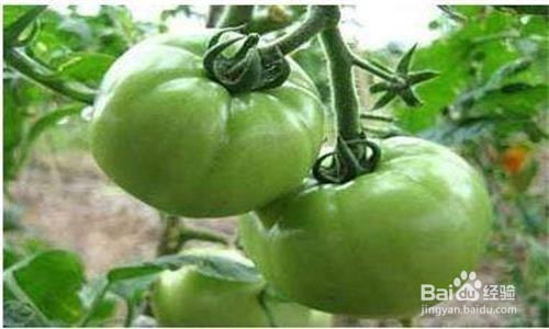 孕妇如何不能吃的几样菜，吃了又会怎样呢？