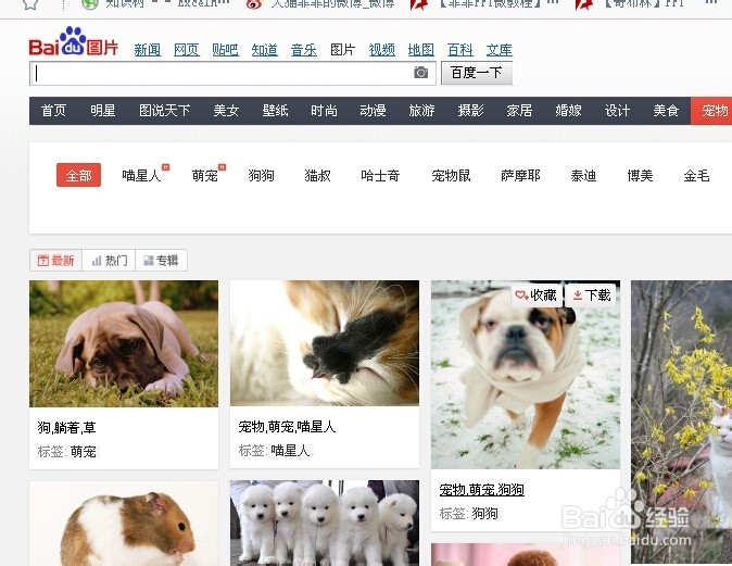 百度图片首页的漂亮图片怎么才能找到