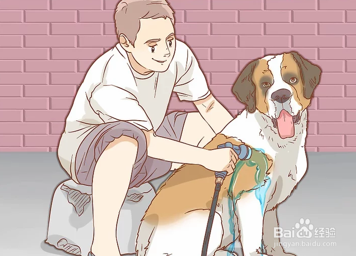 如何治疗中暑的爱犬